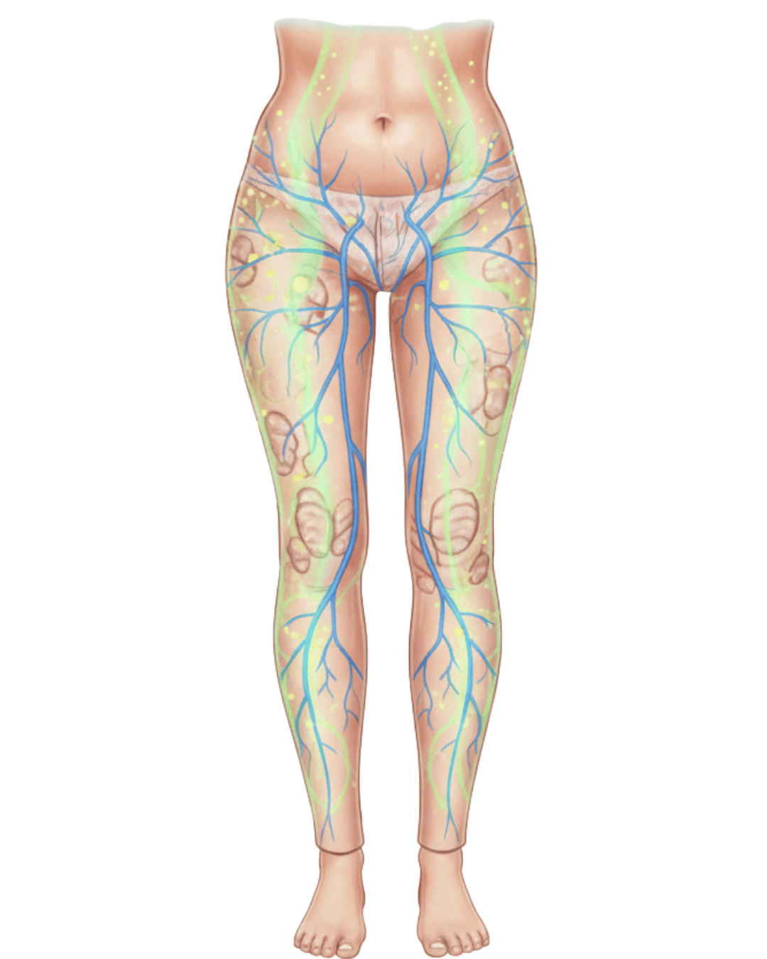 Riattivazione muscolare